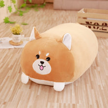 Load image into Gallery viewer, 1PC 30CM/60CM Cute Pig/Totoro/Bear/Cat/Frog/Penguin